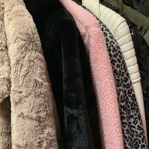 Meet your Posher, Loly